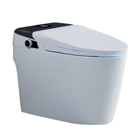 Home Decoration Golden Water Saving Intelligent Automatic Tankless  Alectronic Heat Toilet for Dream Home - China Toilet, Intelligent Toilet