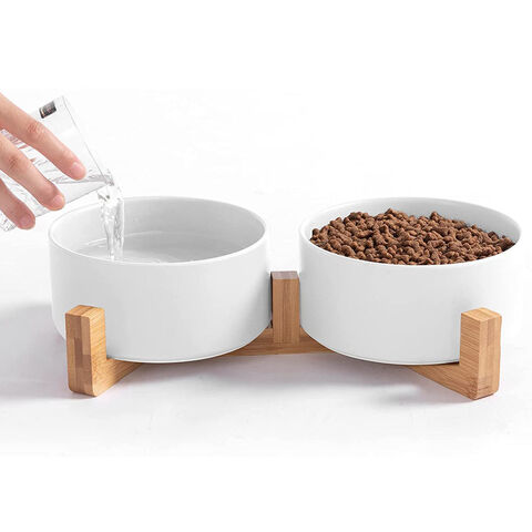 Dog food deals water bowls