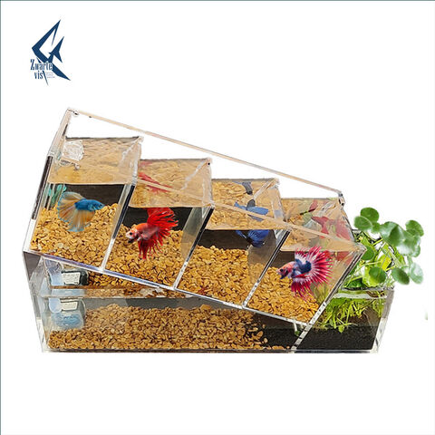 Self-circulating Filter Betta Fish Tank High-definition Transparent ...