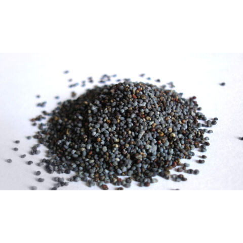 Buy Wholesale Canada High Quality Unwashed Blue Poppy Seeds And Poppy   Poppy Seed 