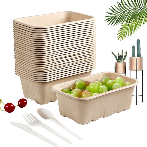 Preço de fábrica Caixa/Bandeja Biodegradável de Bagaço para Embalagem de Frutas (Cerejas, Mirtilos, Tomates, Morangos) com Orifício de Drenagem for sale at factory direct price