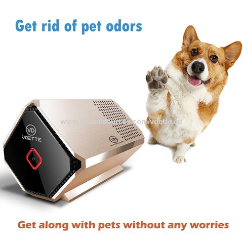 Get Rid of Pet Odors With This Portable Air Purifier