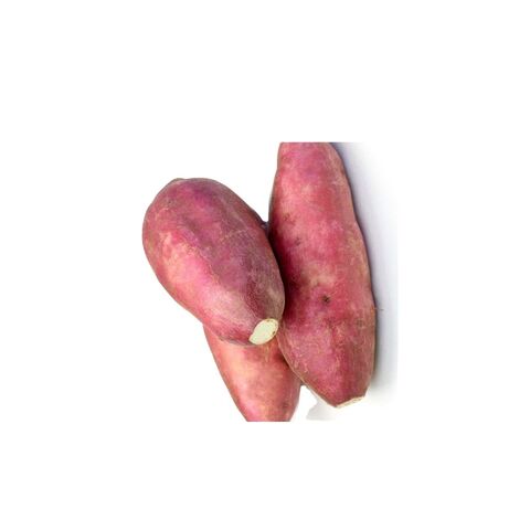 Fresh Sweet Potatoes: Wholesale Exporter & Supplier - Buy in Bulk