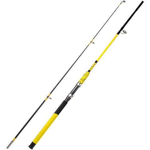 Bestsellers 2-pieces Saltwater Offshore Portable Surf Glass Graphite Spinning  Rods - Expore China Wholesale Fishing Rod and Fishing Tackle, Fishing, Fishing  Rods