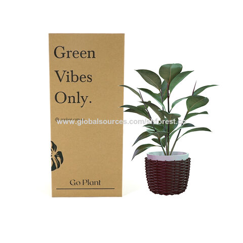 Factory Customized Plant Mailer Boxes With Insert - China Wholesale  Customized Plant Mailer Boxes $0.19 from Shanghai Forests Packaging Group  Co. Ltd. | Globalsources.com