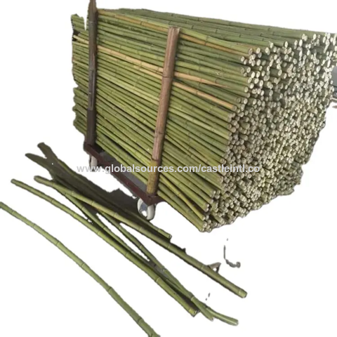 Wholesale Bamboo Sticks 