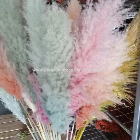 Buy Wholesale China Wholesale Boho Wedding Decor Natural Real Preserved  Dried Flowers Pampas Grass Fake Flower Silk Flower Homedecor Party Floral  Hot & Flower at USD 1.39