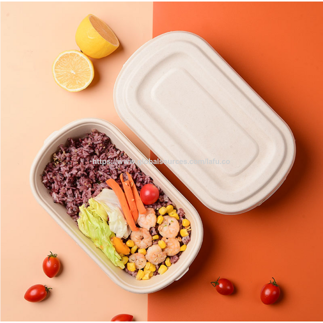 Buy Wholesale China Biodegradable Lunch Box Eco Friendly Disposable ...
