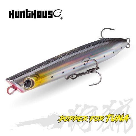 Wholesale Hunthouse Hard Plastic Fishing Bait Saltwater Topwater Pencil  Fishing Lure 130mm/30g Pencil Baitpopular - Explore China Wholesale  Hunthouse Floating Surface Popper Spinning and 30g Wholesale Topwater  Pencil Hard Plastic Fishing, 13cm