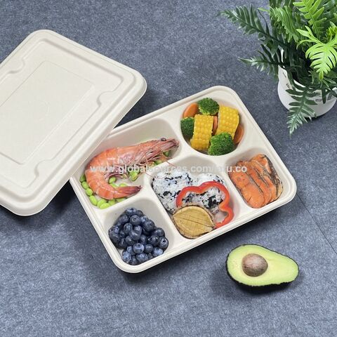 Custom Bagasse Box Biodegradable Food Takeout Containers Noodle Pp