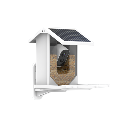 Caméra alimentateur d'oiseaux surveillance en temps réel
