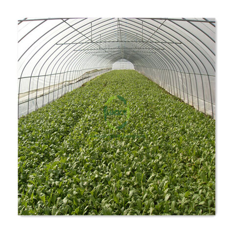 https://p.globalsources.com/IMAGES/PDT/B1204168509/Agricultural-Greenhouses-Uv-Film-Tunnel-Green.jpg