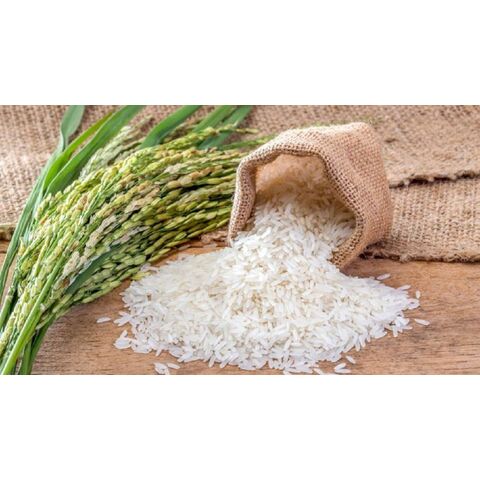 Caad Rice Buy Wholesale Canada Grade Long Grain White Rice & Rice at USD 350 ...