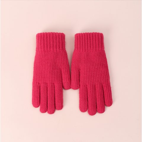 1 paire Gants Pour Femme Hiver Double Couche Écran Tactile Chaud