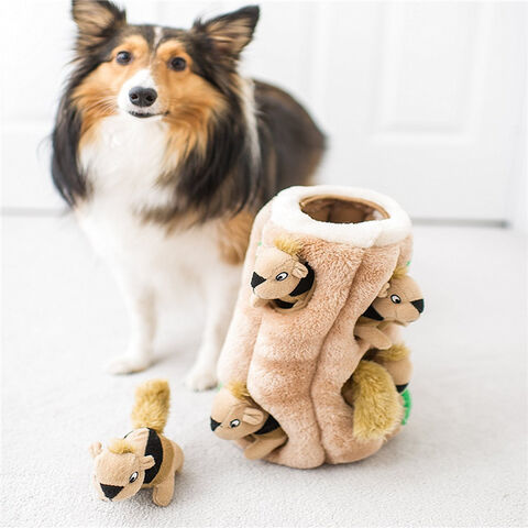 Pet Supplies : Outward Hound Hide A Squirrel Plush Dog Toy Puzzle