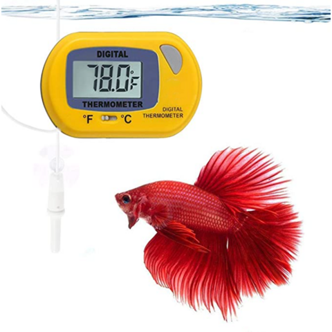 Buy Wholesale China Digital Fish Tank Water Aquarium Reptile