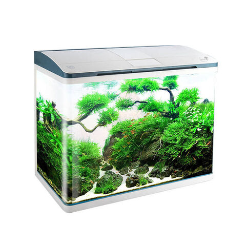 Sitemapcdatahttpsshopinf Inetcomidee Deco Aquarium 100l