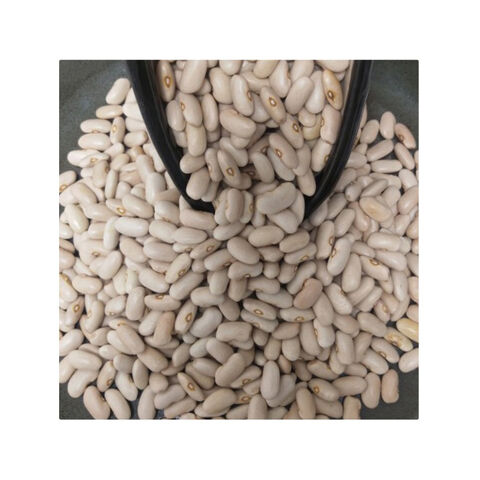 Buy Wholesale United Kingdom Highest Quality Natural Wholesale Top   White Kidney Beans 