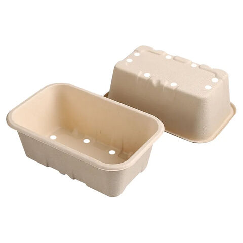 Fornecedor de caixas/bandejas biodegradáveis de bagaço para embalagem de frutas (cerejas, mirtilos, tomates, morangos) com orifício de drenagem for sale at factory direct price