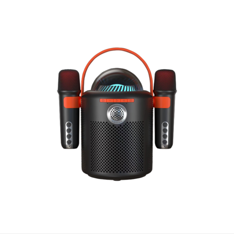 Leistungsstarker, wiederaufladbarer Disco-Lautsprecher für den Außenbereich mit kabellosem Mikrofon und Karaoke-Funktion for sale at factory direct price