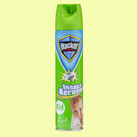 Buy China Wholesale Hacker 300ml Indoor Insect Killer Insecticide ...