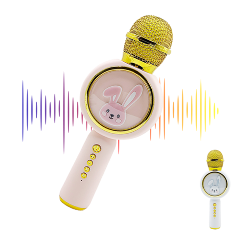 Tragbares Handmikrofon Kabellos BT Karaoke Mikrofon mit LED-Leuchten TF-Karte und Lautsprecher für Kinderspielzeug for sale at factory direct price