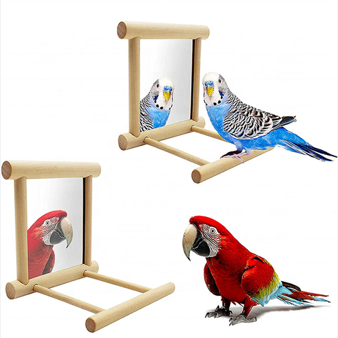 Wholesale parakeets outlet