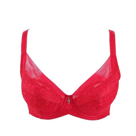 Buy Wholesale China Sexy Red Lace Full Cup Large V-shaped Side Closing  Breast Milk Stylish Padded Bra For Women & Bra at USD 17.83