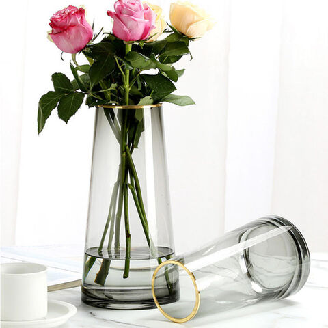 Modern Smoke Glass Vase Bottle for Flower and Room Decor