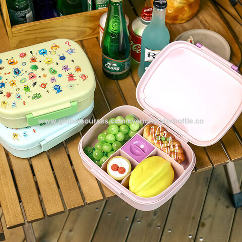 New Design Outdoor Picnic Keep Cold Plastic Portable Divided Salad Lunch Box  - China Bento Lunch Box and Plastic Lunch Box price
