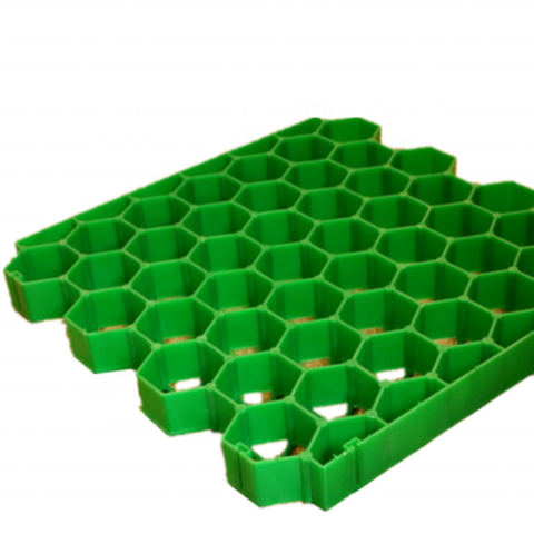Plastic Grid for Parking on Grass / Plastic Ground Reinforcement Grids for  Gravel - China Plastic Grid, Stabilisation Grid Ground, Plastic Grid