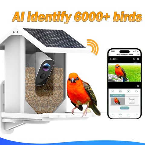 Buy Wholesale China Outdoor Waterproof Solar Automatic Bird Feeders Powered  Ai Intelligent 1080p Video Bird Camera For Wildlife Gazebo Feeding &  Automatic Bird Feeders at USD 66.8