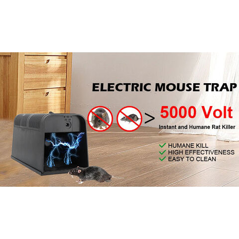 https://p.globalsources.com/IMAGES/PDT/B1207717519/Kill-Rat-Mouse-Mice-Trap.jpg