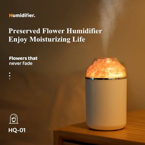 Valentine's Day Sale*) Anti Gravity Humidifier – EternalRose