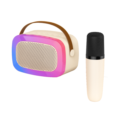 Haut-parleur Bluetooth Portable, Carte TF pour Fêtes à Domicile, KTV Mobile, Cadeau de Noël, Mini Machine de Karaoké pour Enfants, Microphone sans Fil RGB