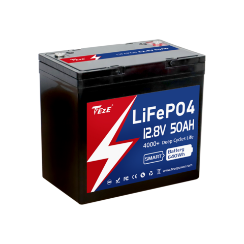 China Blue Carbon 12V 100Ah LiFePO4 Battery Pack With 5 Years