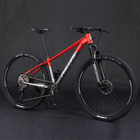 Phillips Discount Aluminum Mtb Bike 29 Inch Family Portable Pedals