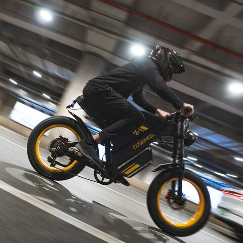 Coswheel Gt20 Electric Bike 20 Inch Fat Tire Off Road Ebike 1000w 48v ...