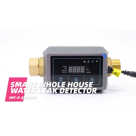 Imrita Oem Whole House Wifi App Controlling Pipe Leak Detect Water Leak