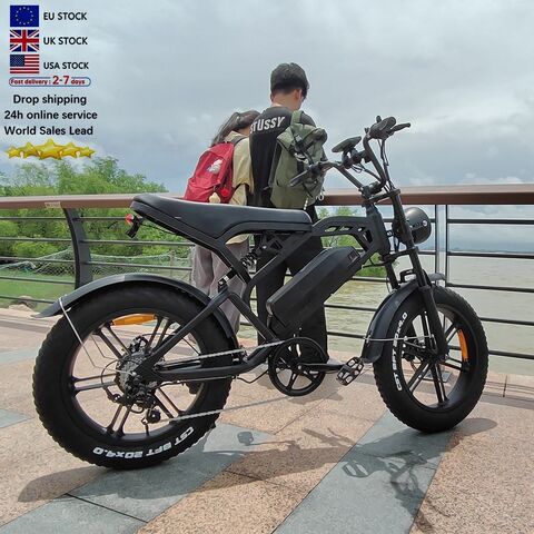 V20 Bike Electric Food Delivery 20 Inch Electric Cargo Bike 250w