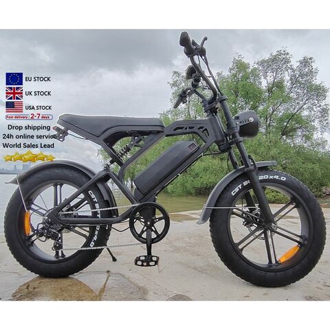 V20 City Life Ebike 20 Inch 250w/1000w 48v 15ah Long Range E Bike