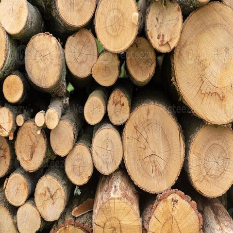 Wholesale Price Teak Wood Round Log For Sale - United States
