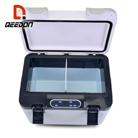 Car Interior Supplies Accessories 12V/ 220V 10 Liter Car Mini Refrigerator  Lightweight Dual-Use Insulated C ooler Box Container