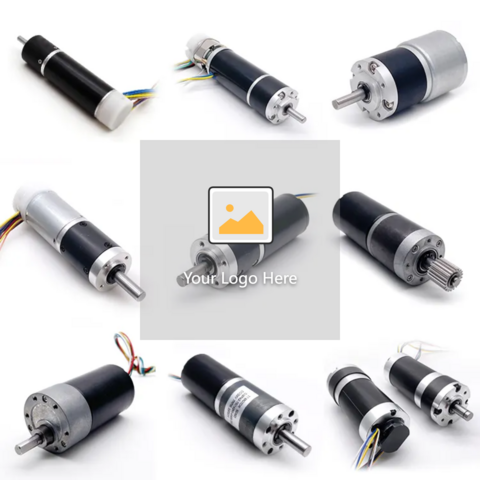 China supplier RoHS certificate 775 12v 24v 24volt dc brush gear motor with 42mm planetary gearbox for sale at factory direct price