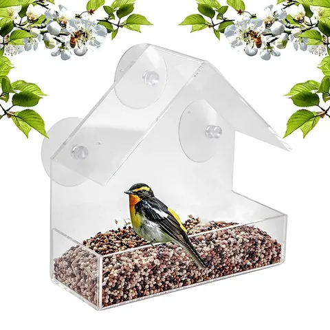 Wholesale bird outlet food suppliers