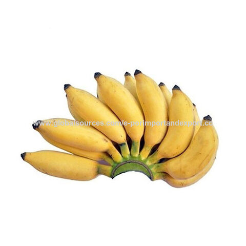 Kaufen Sie Thailand Grohandels-Gelbe Bananen Hohe Qualitt Tropische  Frchte Vietnam Cavendish Grne Premium Bananen Bereit Zum Export Vom  Hersteller und Bananen zu einem Preis von $160 USD | Global Sources