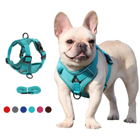 Hundegeschirr mit 1,5 m Zugleine Set, Kein Zug, Hundeweste, verstellbarer, reflektierender, atmungsaktiver Gurt für Hunde, Welpen und Katzen - Großhandel für Haustierbedarf