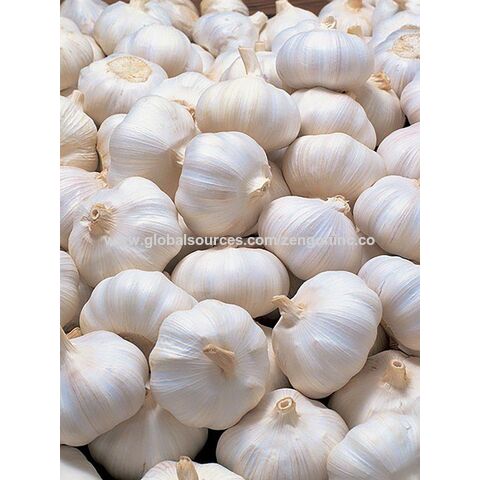 Buy Wholesale Canada Fresh Garlic White Garlic Normal White Garlic ...