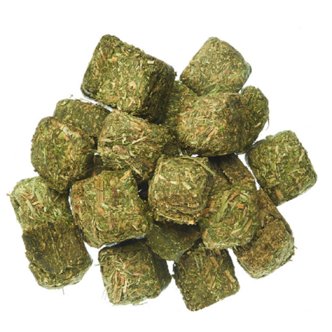 Curated visual reference: Fresh Look at Factory Direct High Quality United Kingdom Wholesale Quality Alfalfa