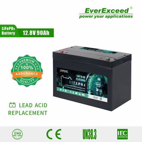 Lithium Ion Lifepo4 Start Battery 12V 20Ah, cranking battery 12V, Quality  Assurance